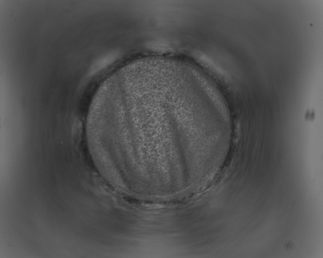 X0000094951302200712131613