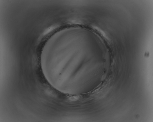 X0000094951303200712131613