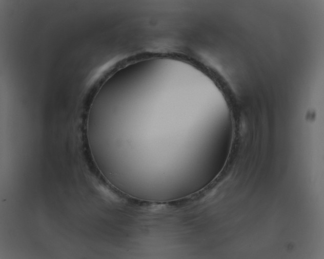 X0000094951304200712131613