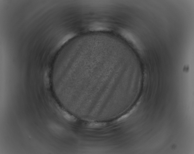 X0000094951305200712131613