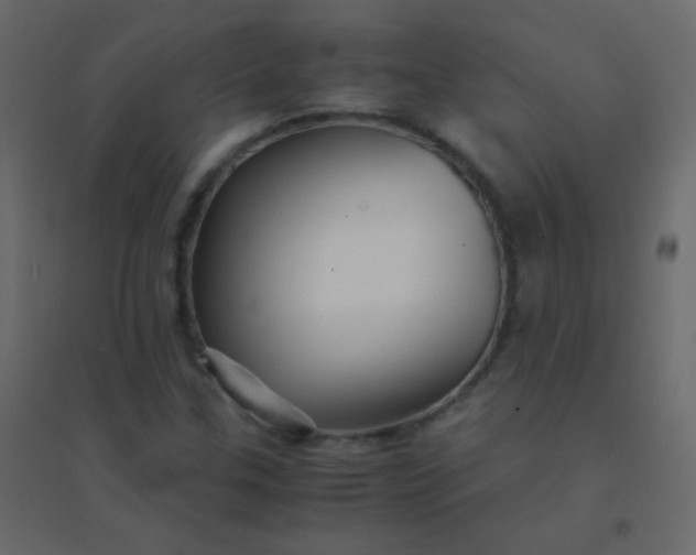 X0000094951307200712131613