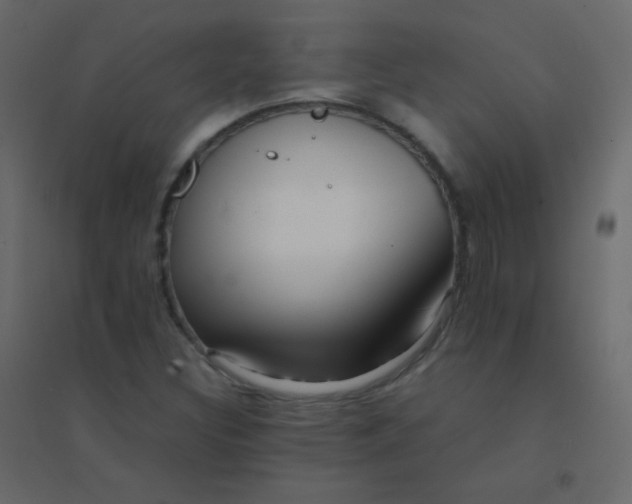 X0000094951308200712131613