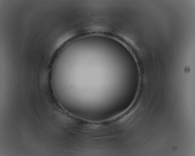 X0000094951309200712131613