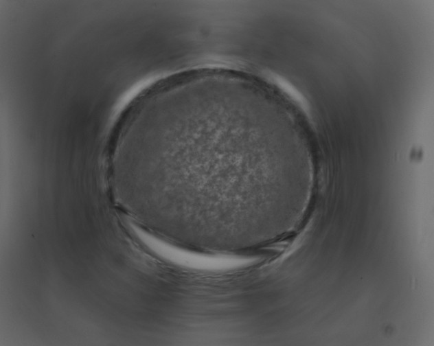 X0000094951310200712131613