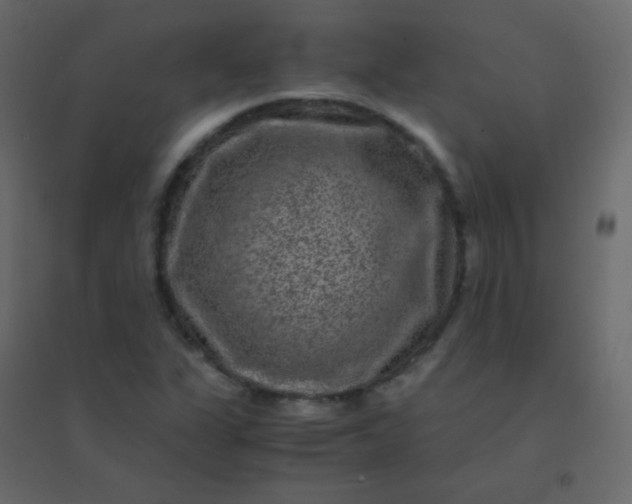 X0000094951311200712131613