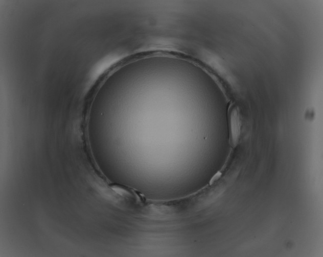 X0000094951312200712131613