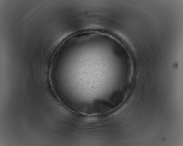 X0000094951313200712131613