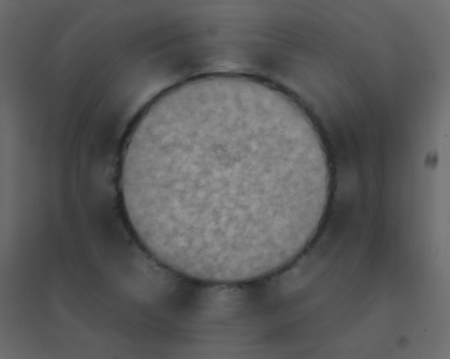 X0000094951314200712131613