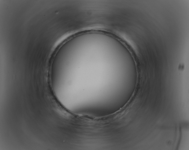 X0000094951316200712131613