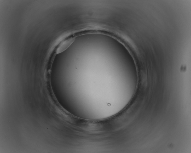 X0000094951318200712131614