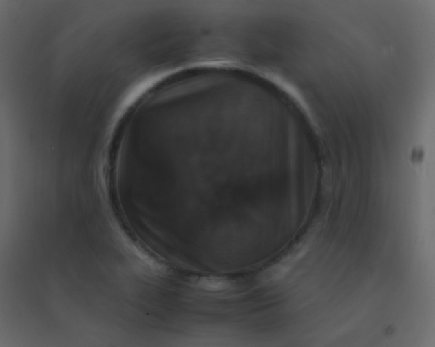 X0000094951319200712131614