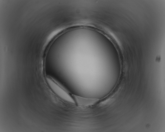 X0000094951320200712131614