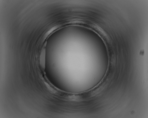 X0000094951321200712131614