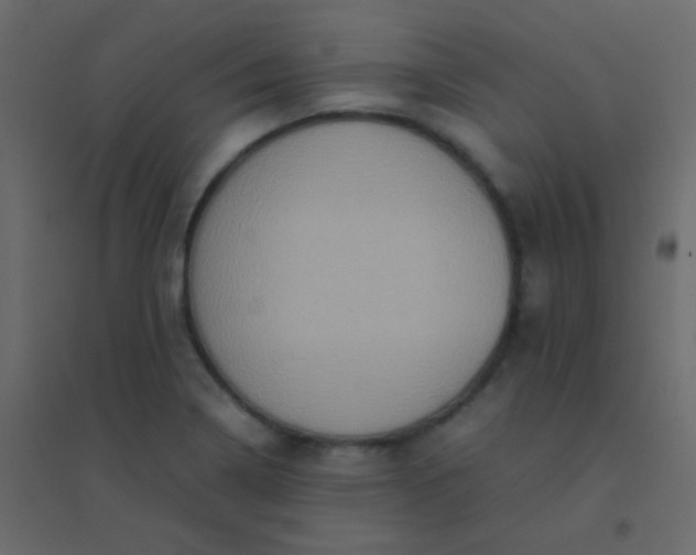 X0000094951322200712131614