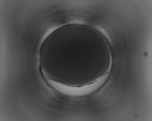 X0000094951323200712131614