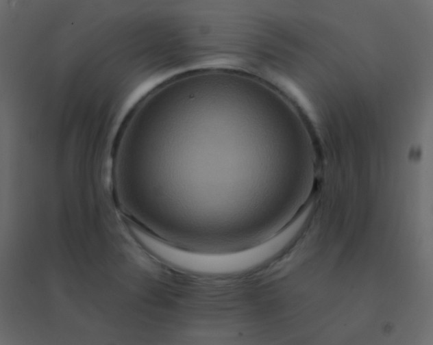 X0000094951324200712131614