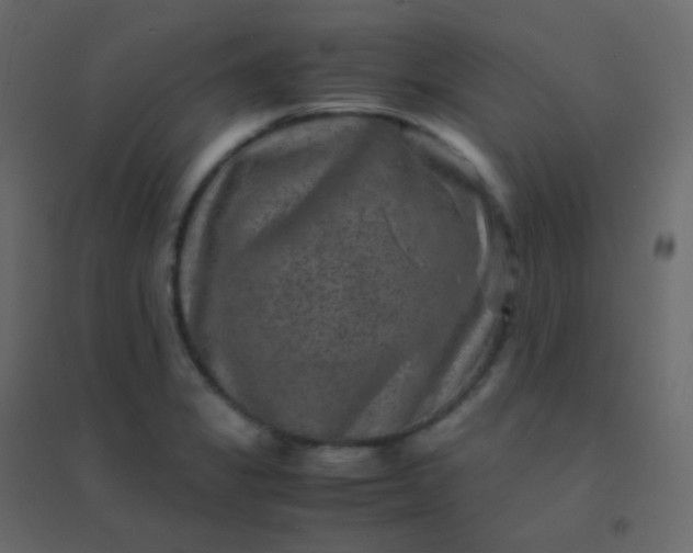 X0000094951325200712131614