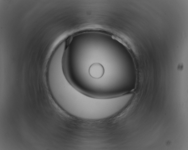 X0000094951326200712131614