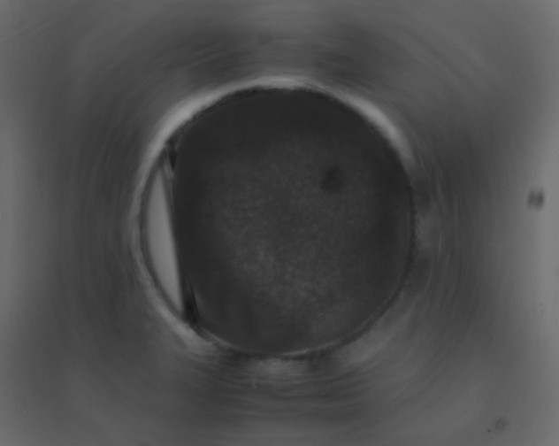 X0000094951327200712131614