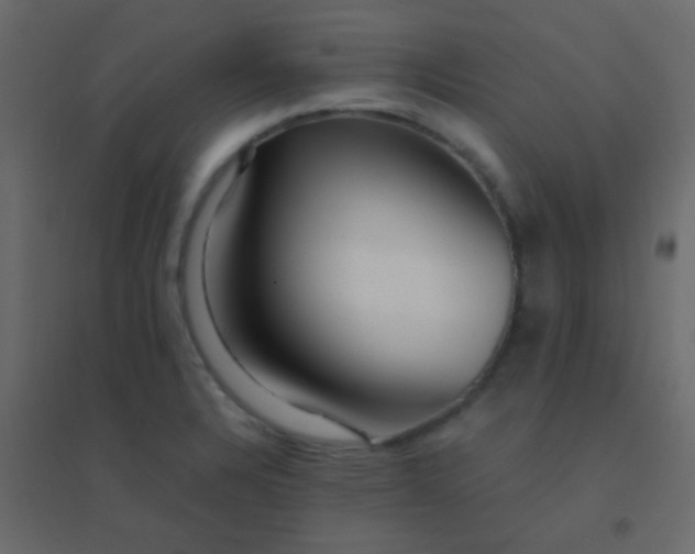 X0000094951328200712131614