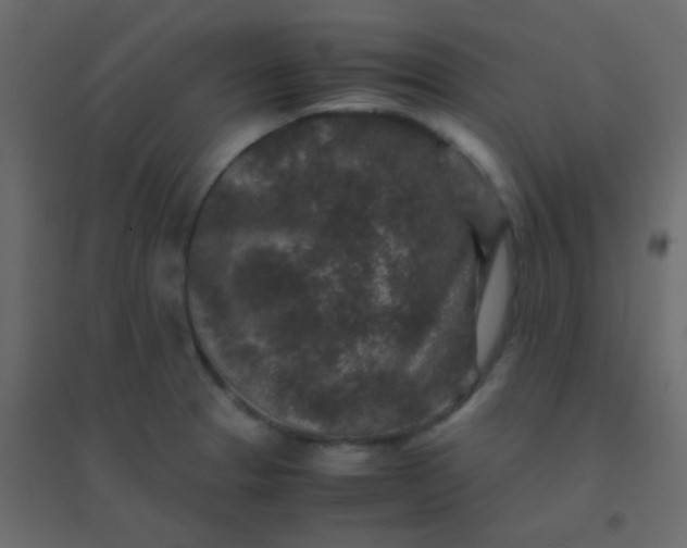 X0000094951329200712131614