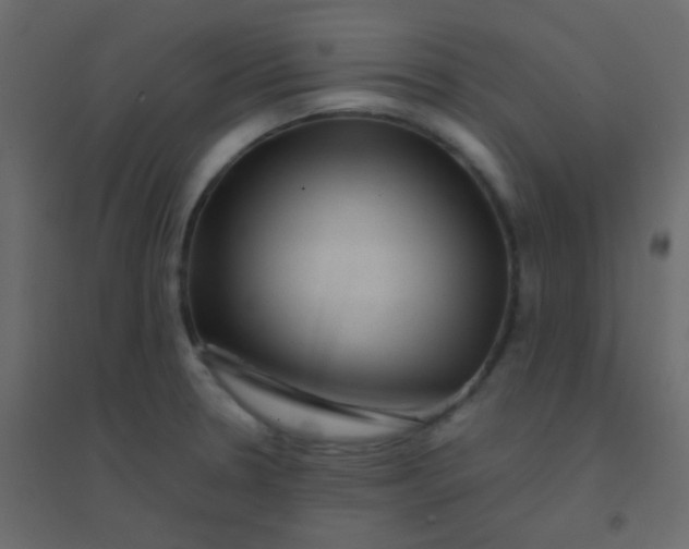 X0000094951330200712131614