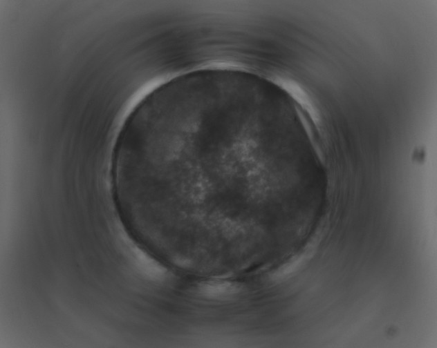 X0000094951331200712131614