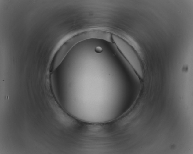 X0000094951332200712131614