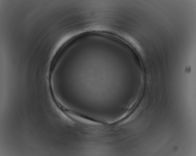 X0000094951334200712131614