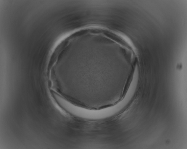 X0000094951335200712131614