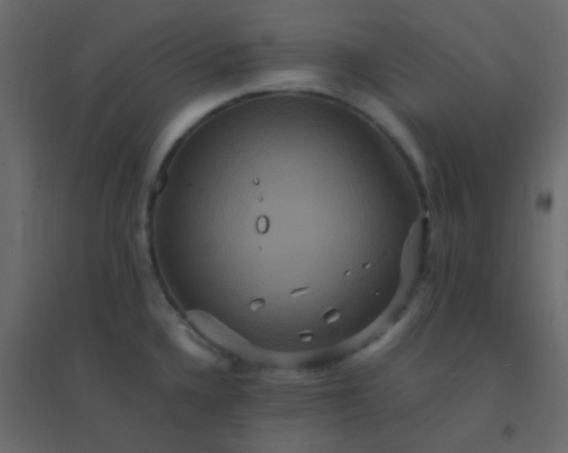 X0000094951336200712131614