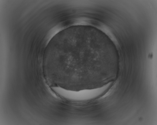 X0000094951337200712131614