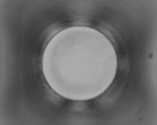 X0000094951338200712131614