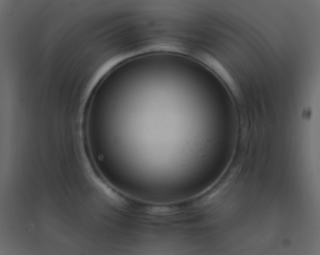 X0000094951339200712131614