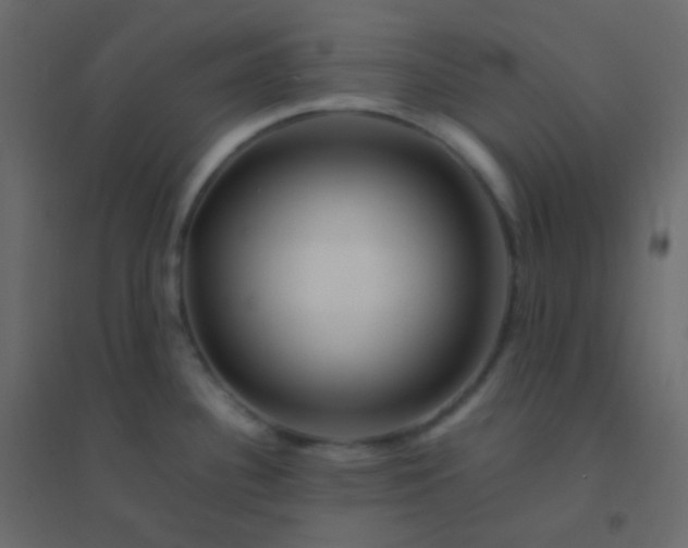 X0000094951340200712131614