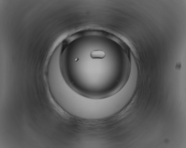 X0000094951342200712131614