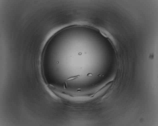 X0000094951343200712131614