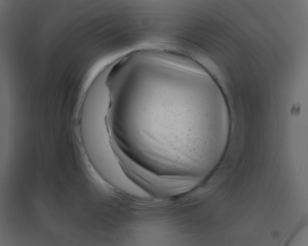 X0000094951344200712131614