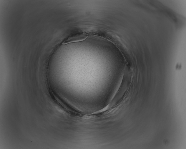 X0000094951345200712131613