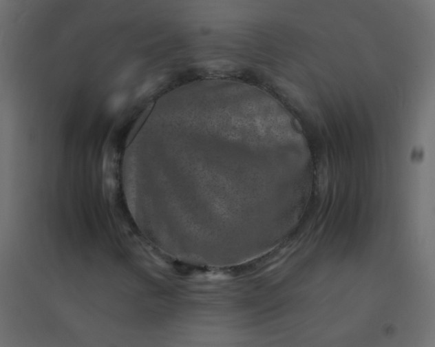 X0000094951346200712131613