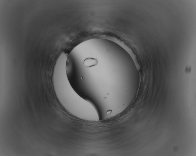 X0000094951348200712131613