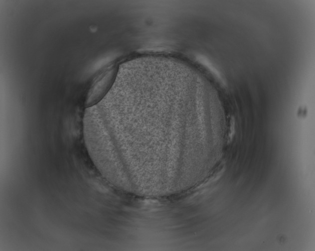 X0000094951350200712131613