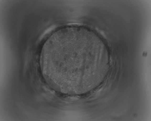 X0000094951351200712131613