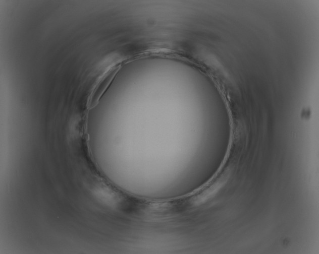 X0000094951353200712131613