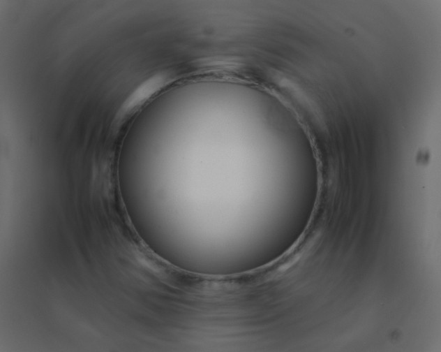 X0000094951354200712131613