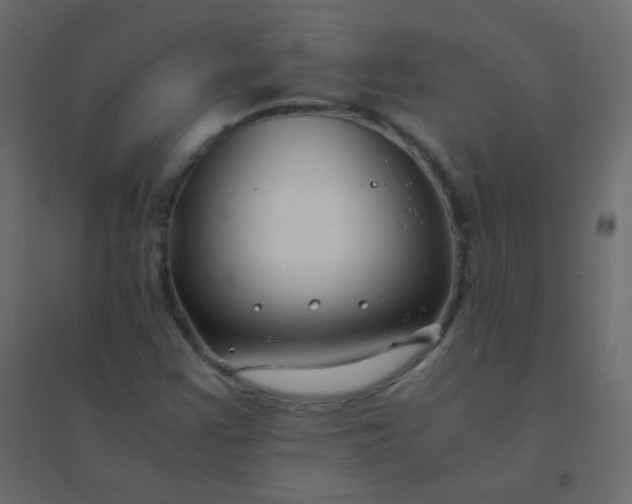 X0000094951355200712131613