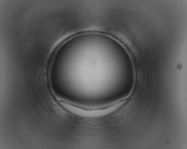 X0000094951356200712131613