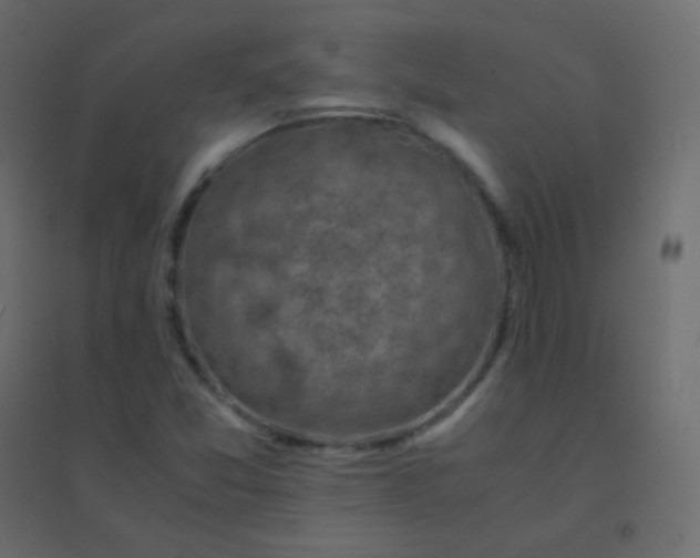 X0000094951357200712131613