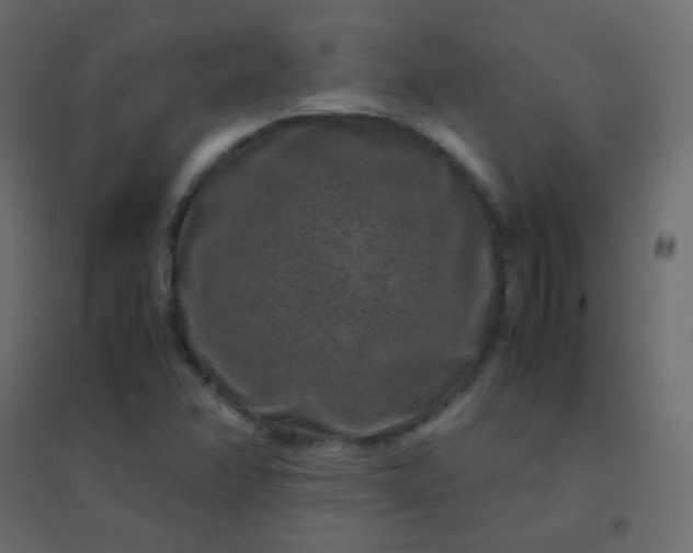 X0000094951358200712131613