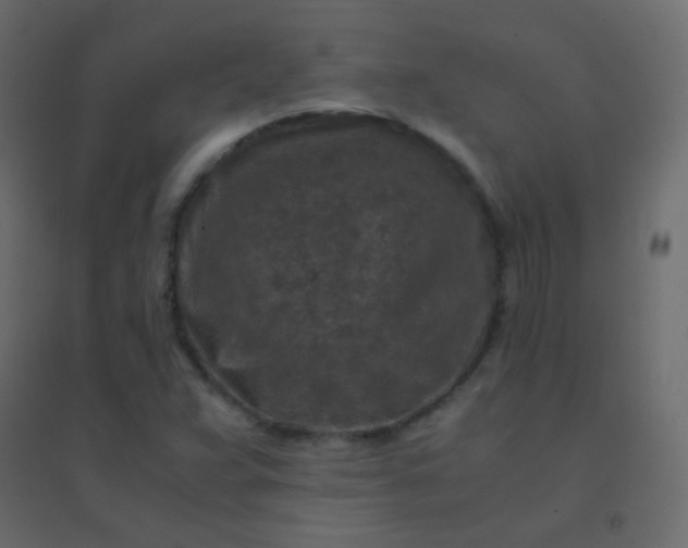 X0000094951359200712131613